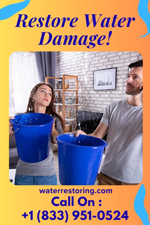 water restoration Prime Water Removal Paris