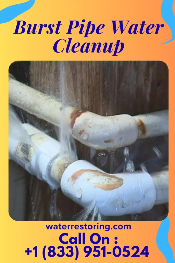 Burst Pipe Water Cleanup in Paris, PA
