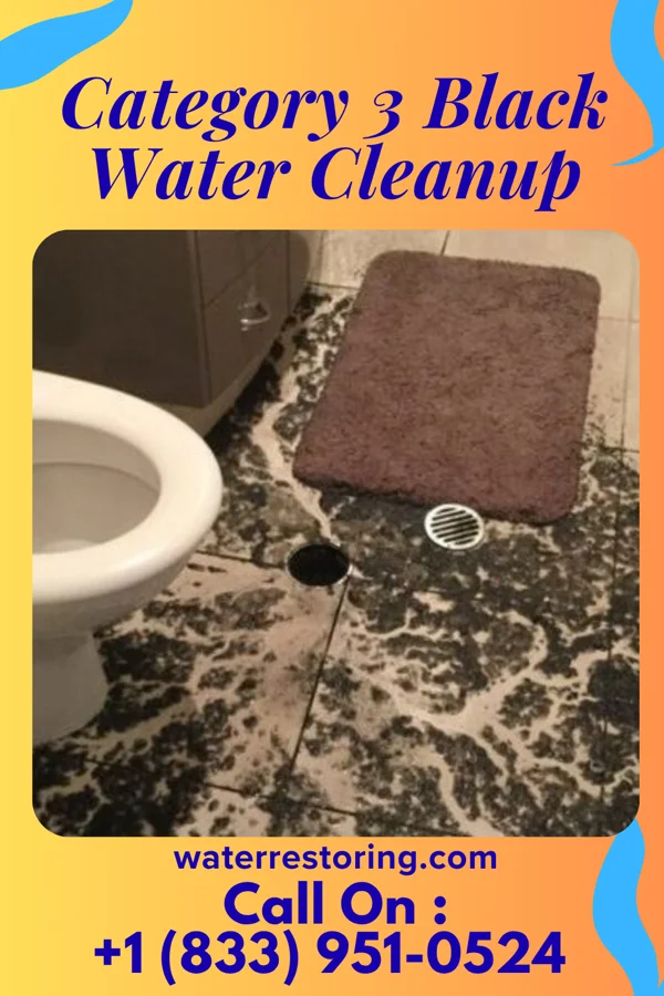 Category 3 Black Water Cleanup in Paris, PA