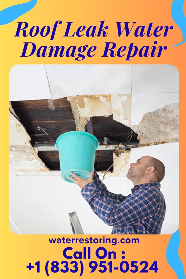 Roof Leak Water Damage Repair in Paris, PA