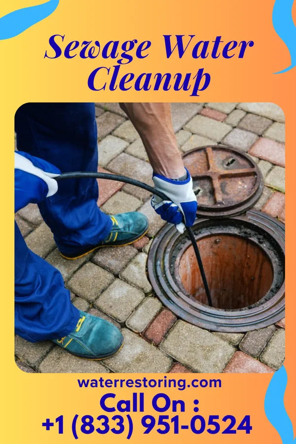 Sewage Water Cleanup in Paris, PA
