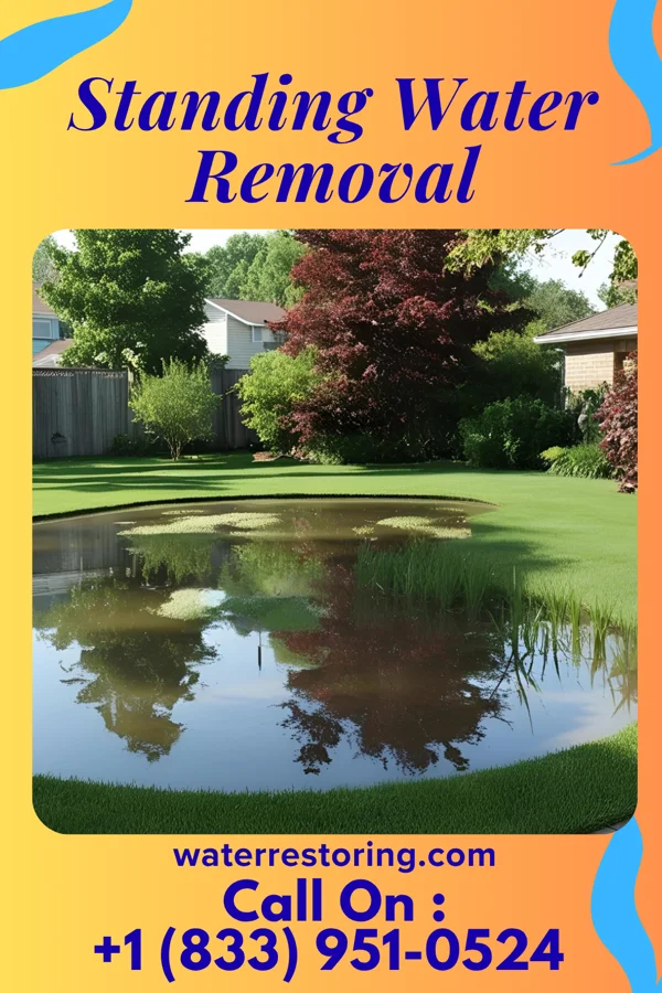 Standing Water Removal in Paris, PA